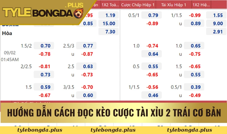 Giải Thích Quy Định Chơi Trong Kèo Tài Xỉu 2 Trái Dễ Hiểu 2 Hướng dẫn cách đọc kèo cược tài xỉu 2 trái cơ bản