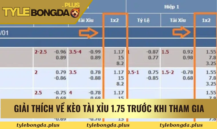 Giải thích về kèo tài xỉu 1.75 trước khi tham gia