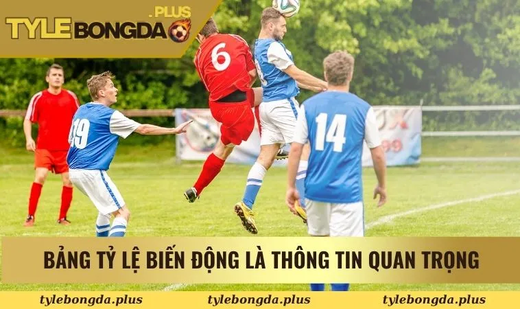 Khám Phá Ngay Cách Chơi Kèo Tài Xỉu 1.5 Trong Bóng Đá 3 Bảng tỷ lệ biến động là thông tin quan trọng