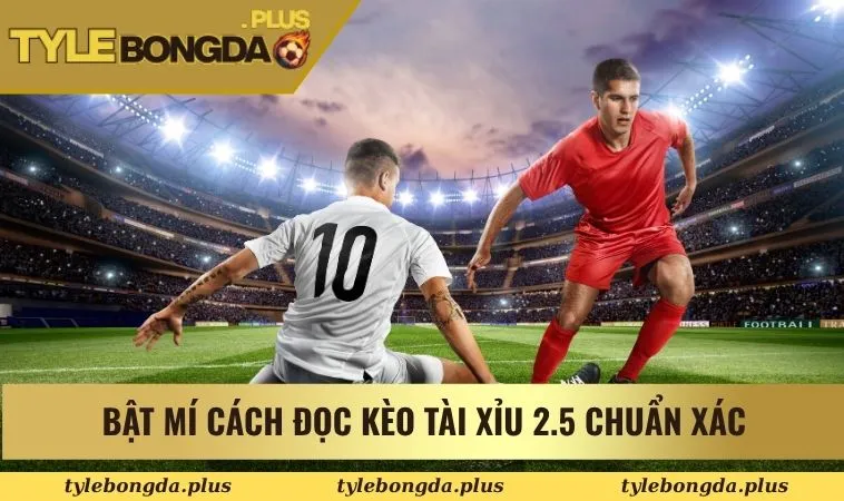 Đánh Giá Kèo Tài Xỉu 2.5 Cùng Cách Giải Thích Chi Tiết 1 Bật mí cách đọc kèo tài xỉu 2.5 chuẩn xác