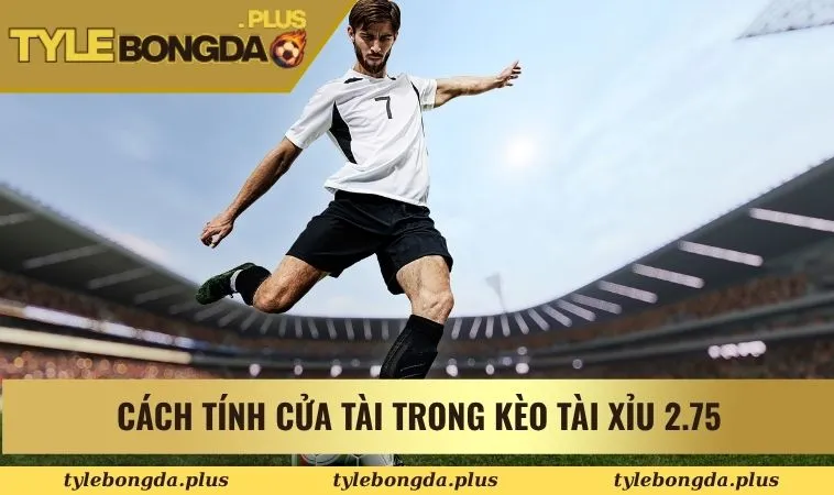 Kèo Tài Xỉu 2.75 - Kinh Nghiệm Chuẩn Xác Tránh Thua Lỗ 1 Cách tính cửa Tài trong kèo tài xỉu 2.75