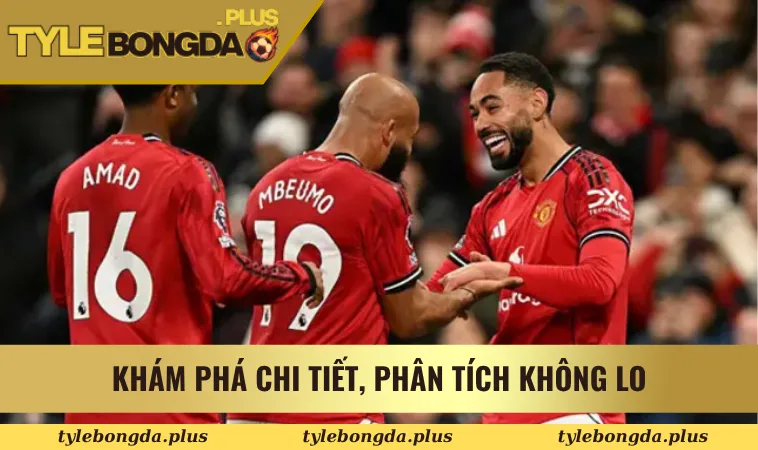 Khám phá chi tiết, phân tích không lo