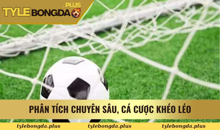 Phân tích chuyên sâu, cá cược khéo léo
