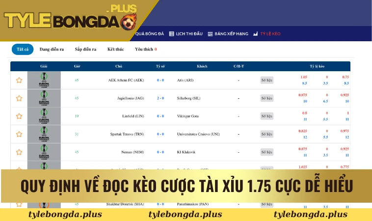 Quy định về đọc kèo cược tài xỉu 1.75 cực dễ hiểu